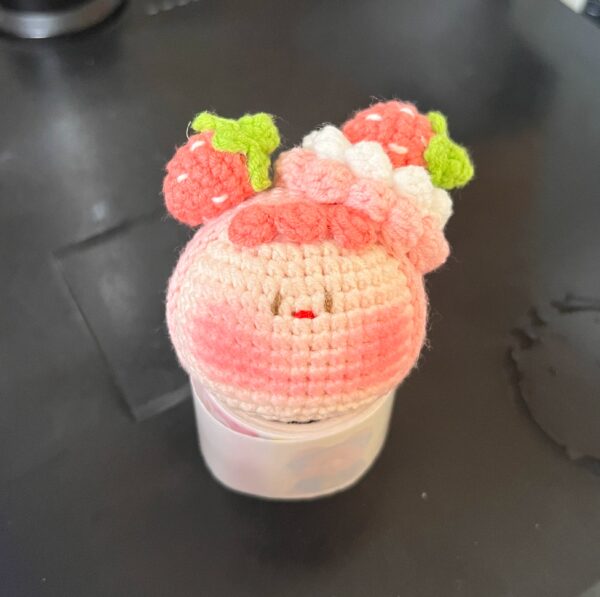 Adorable Handmade Crochet Dumpling Keychains – Perfect DIY Gift for Birthdays, Valentine’s, and Special Occasions - Image 56